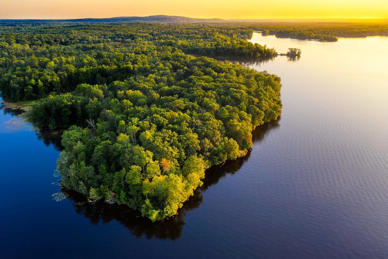<a href='http://www.ouropretoonline.com/modules/news/article.php?storyid=109128'>Amaznia na COP 28: o que ser discutido sobre a maior floresta do mundo?</a>